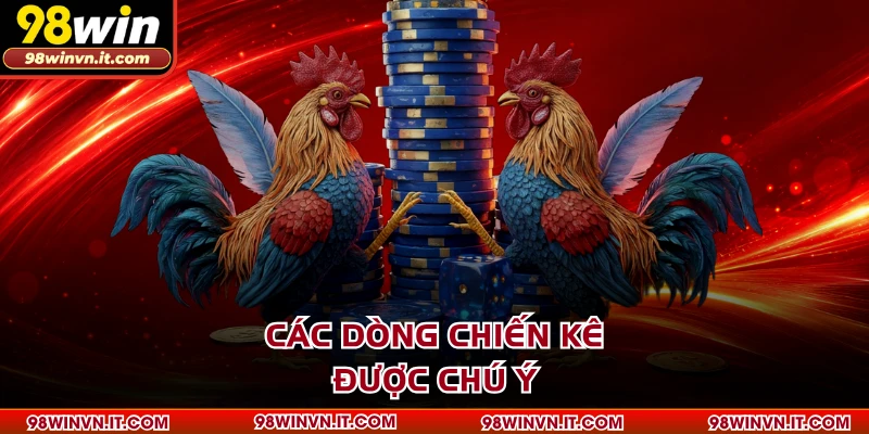 Các dòng chiến kê được chú ý