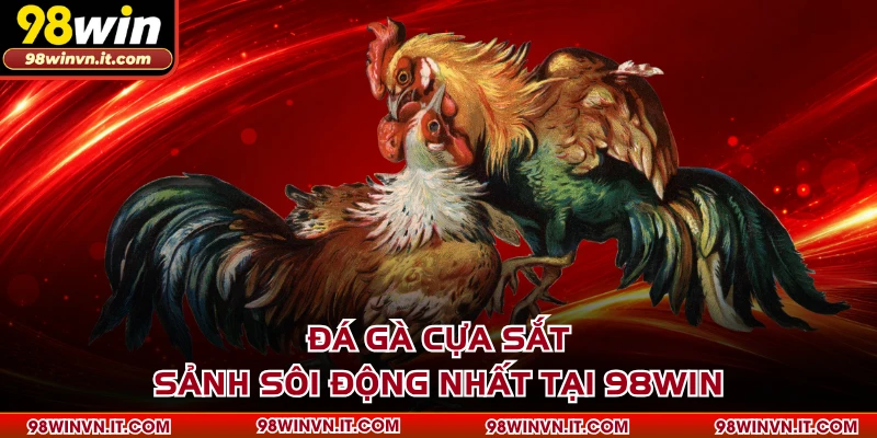 Đá Gà Cựa Sắt - Sảnh Sôi Động Nhất Tại 98WIN