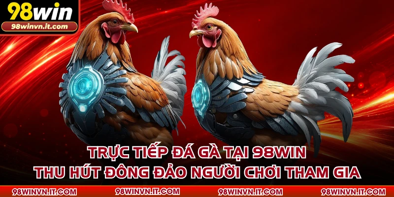 Trực tiếp đá gà tại 98WIN thu hút đông đảo người chơi tham gia